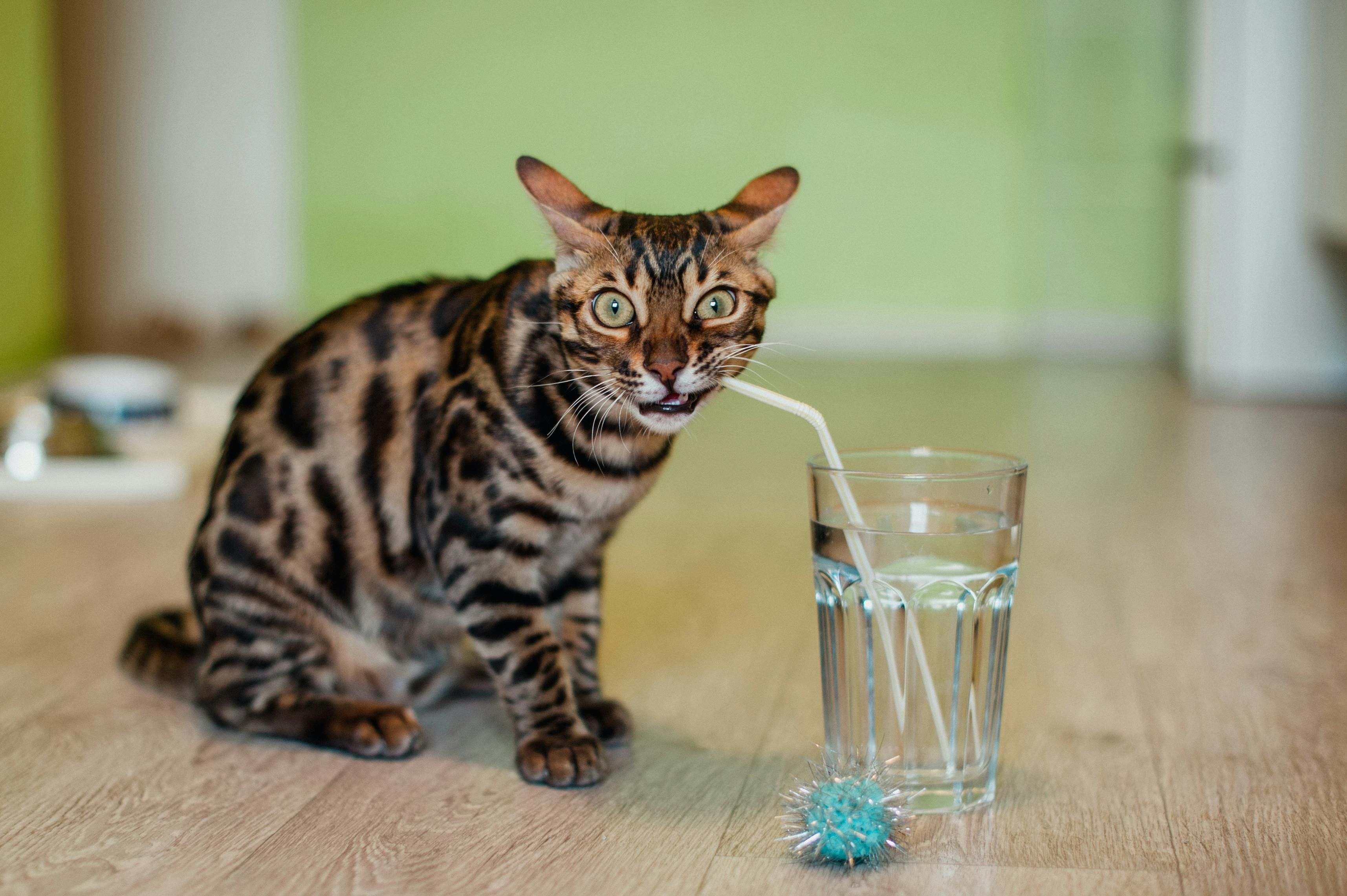 Water and Drinking