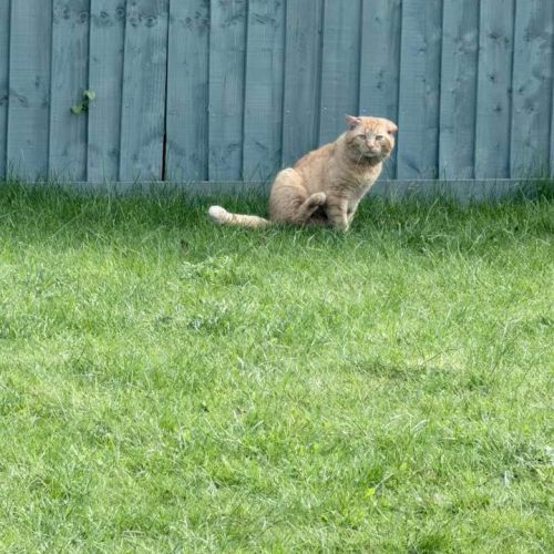 This boy is still i…