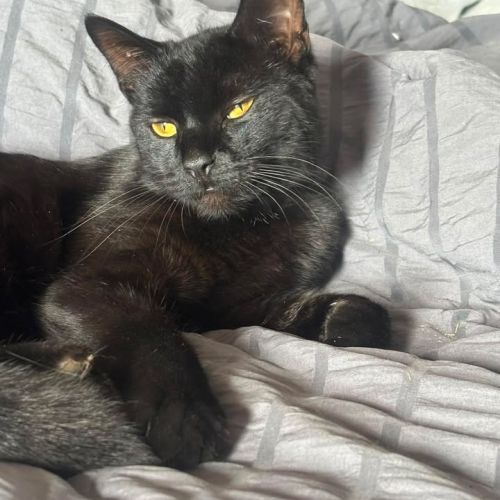 😍 UPDATE OZZY HAS…