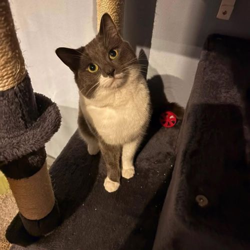 😻 Lovely little mo…