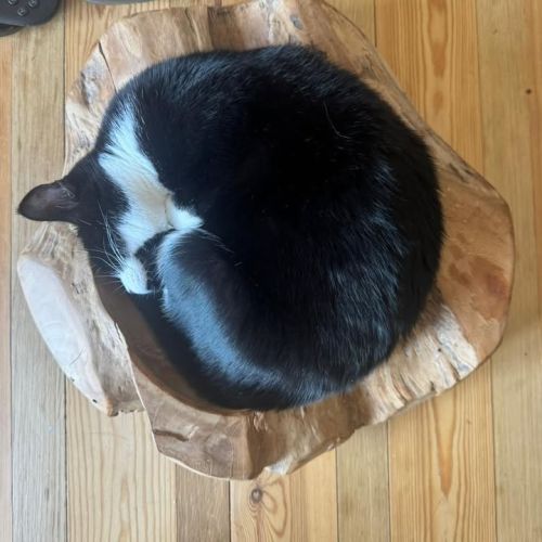 Radish decided that…
