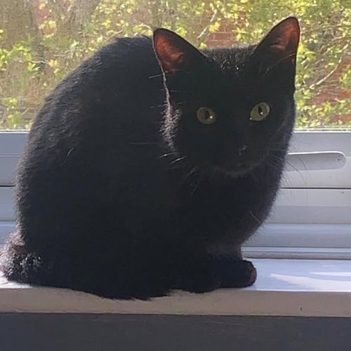 Registered charity…