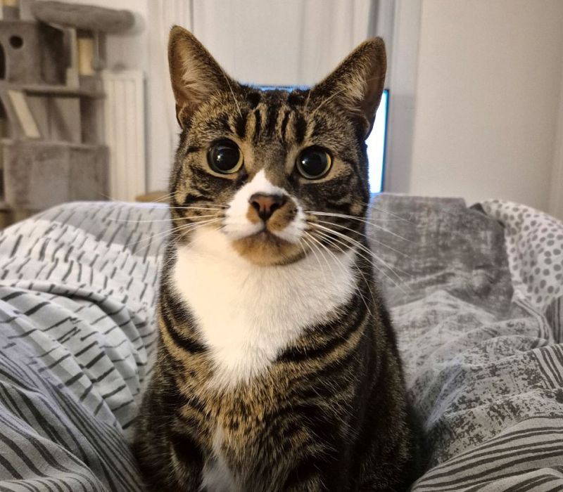 Penny