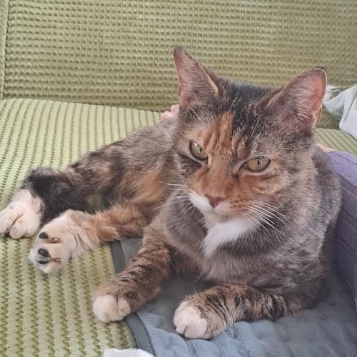 💔 Can you help her…