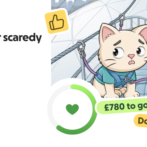 https://gofund.me/4…