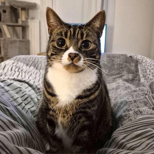 ❤️ Penny has been f…