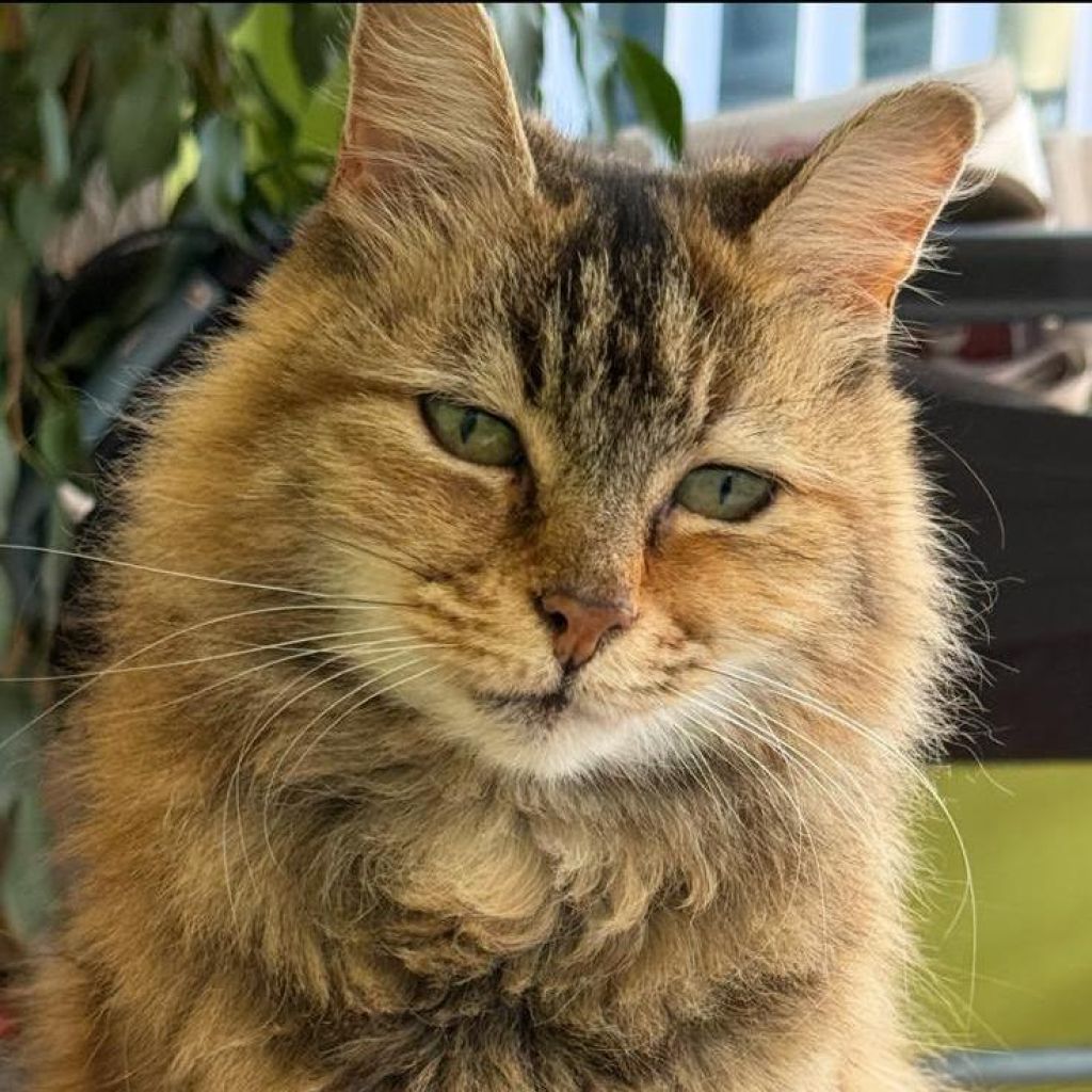 Mitzie