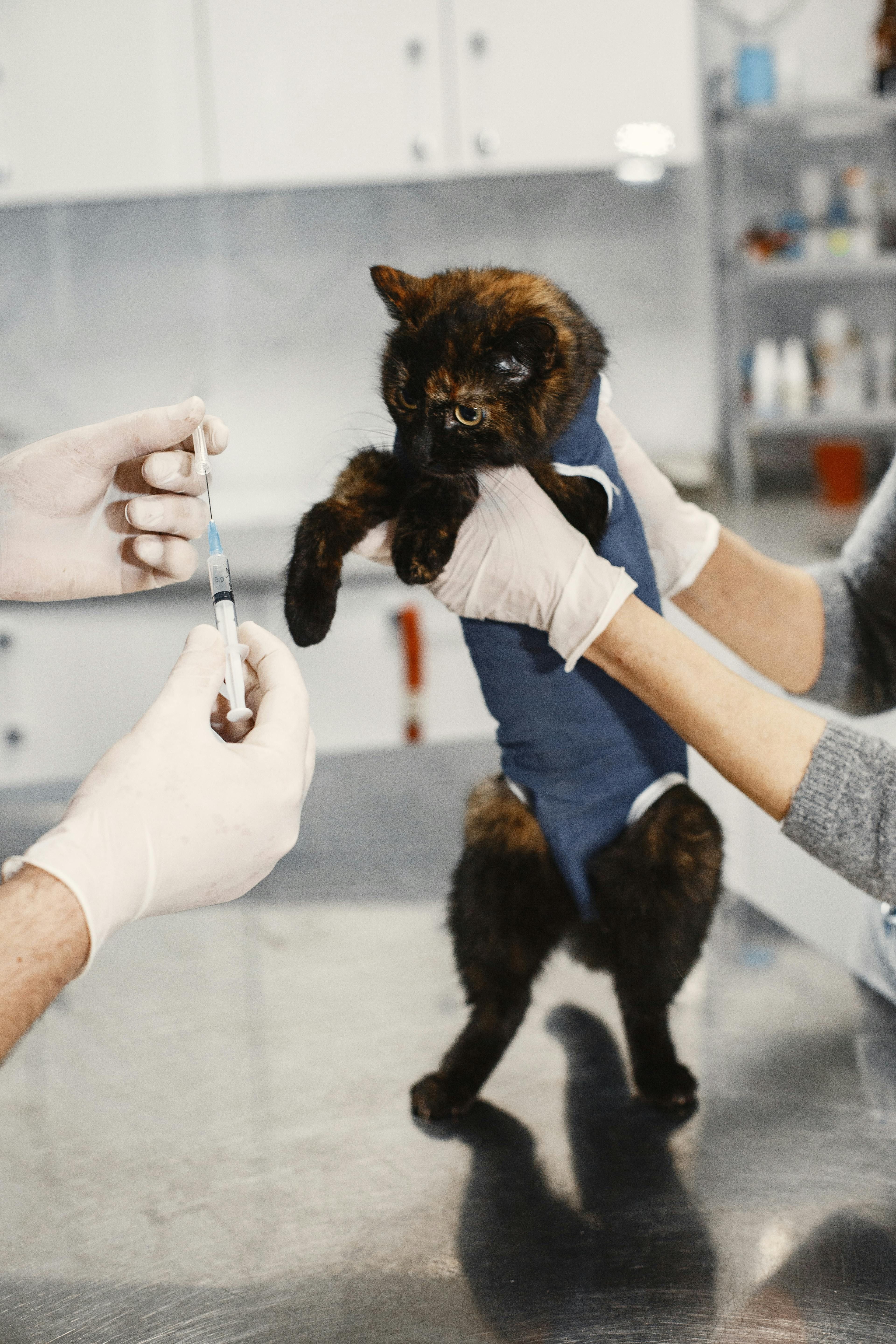 Veterinary Services