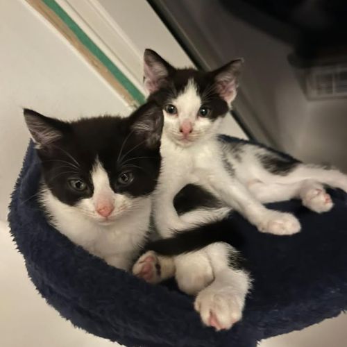 ❤️ We have baby bea…