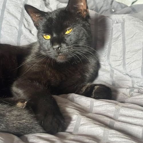 ❤️ From Gumtree to…