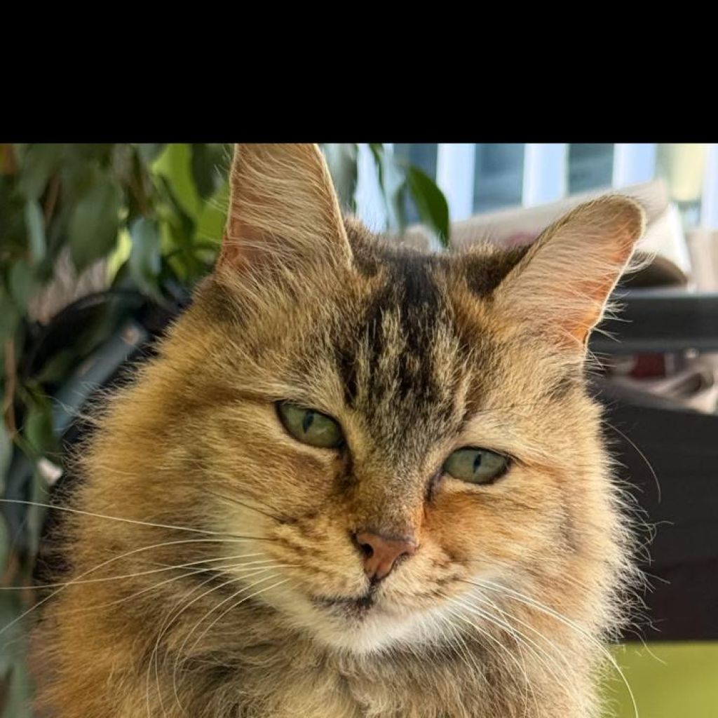 Mitzie