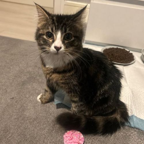 ❤️ Meet Miss Mimi ❤…