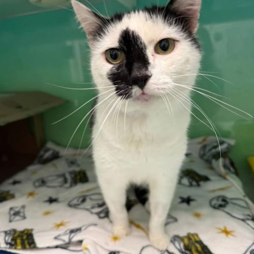 Registered charity…