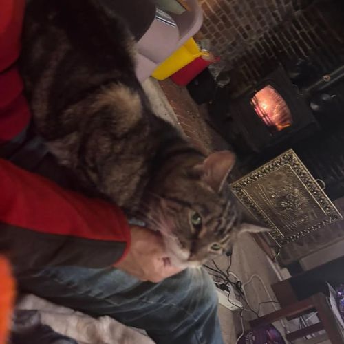 ❤️ UPDATE ON COLIN…