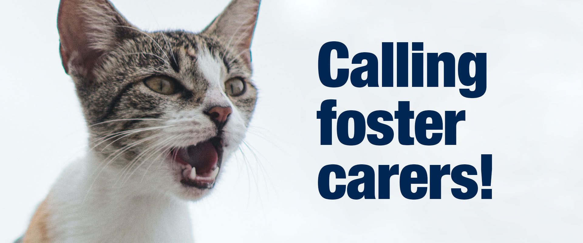 For Foster Parents