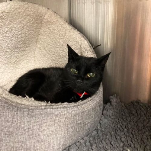 🎉HOME FOUND 🎉

No…