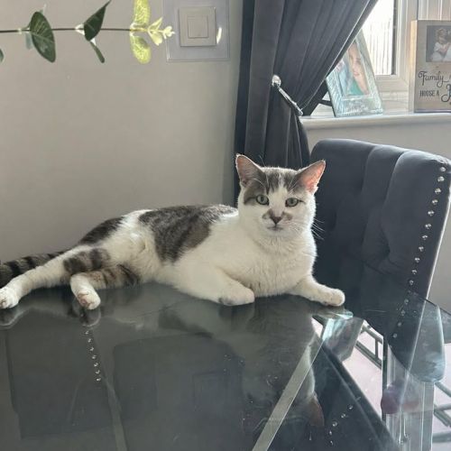 Registered charity…