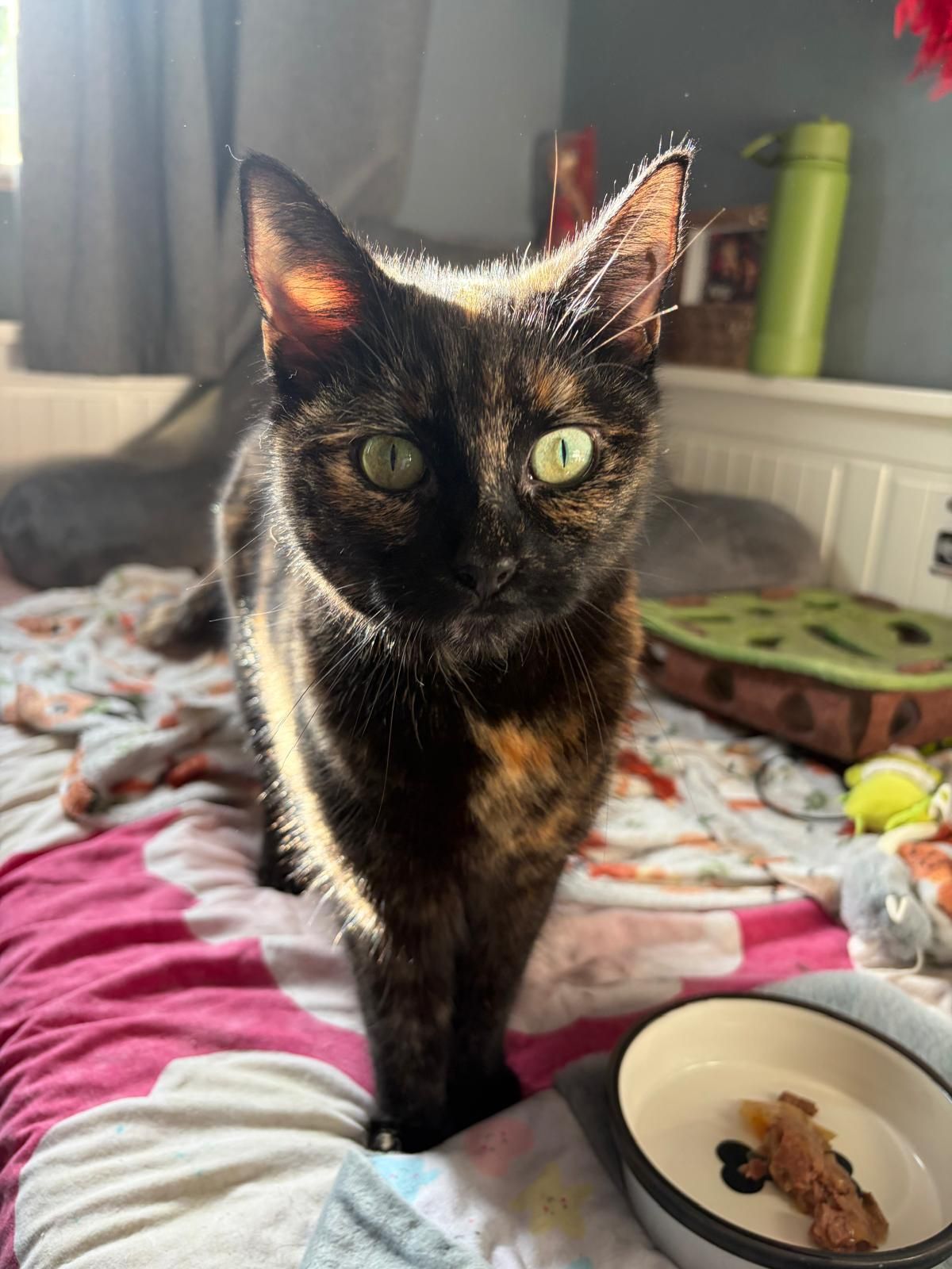 Luna-Belle