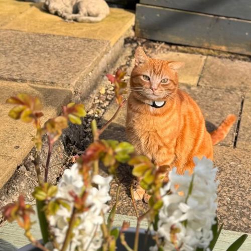 UPDATE ON GERALD TH…