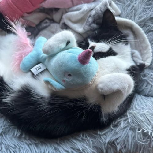 Radish is having a…